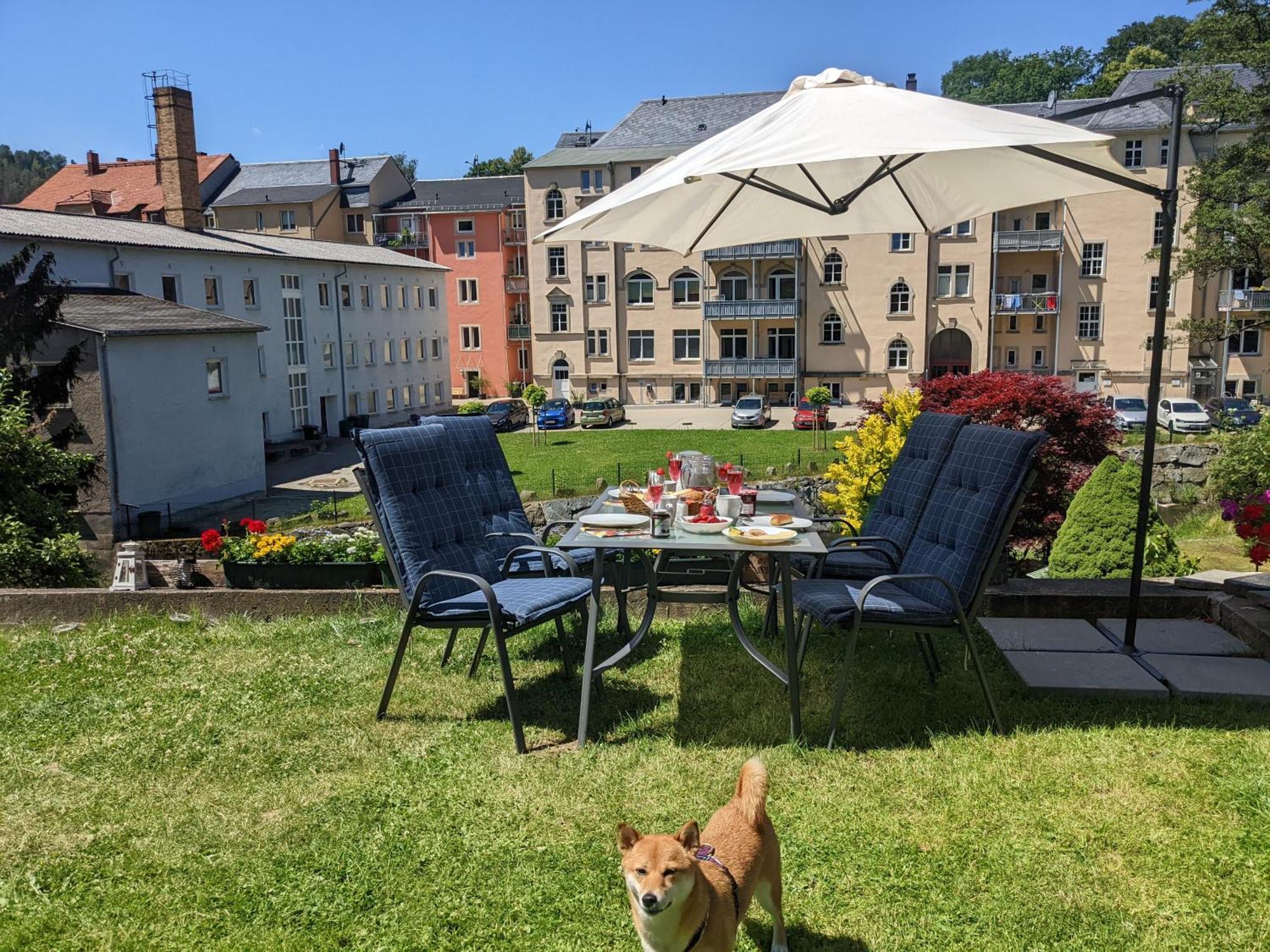 F2 - Urlaubsmagie Sauna, Whirlpool, Pool & Garten Sebnitz Bagian luar foto