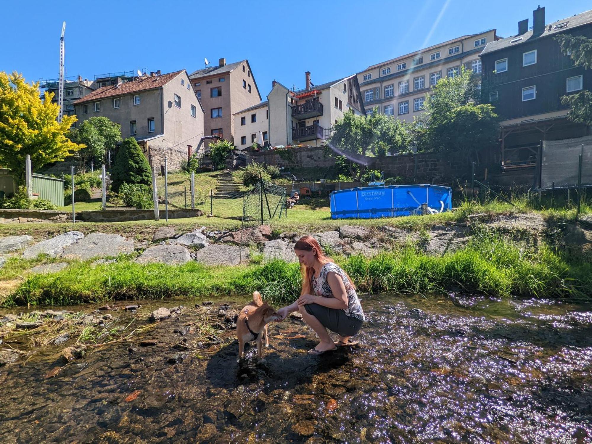F2 - Urlaubsmagie Sauna, Whirlpool, Pool & Garten Sebnitz Bagian luar foto