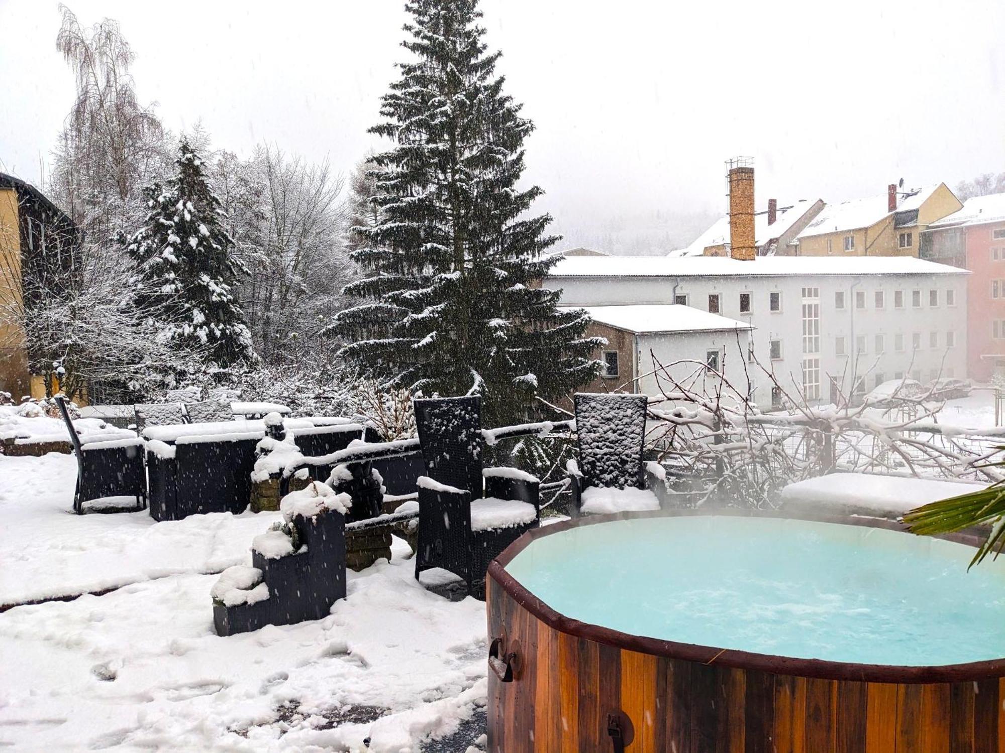 F2 - Urlaubsmagie Sauna, Whirlpool, Pool & Garten Sebnitz Bagian luar foto