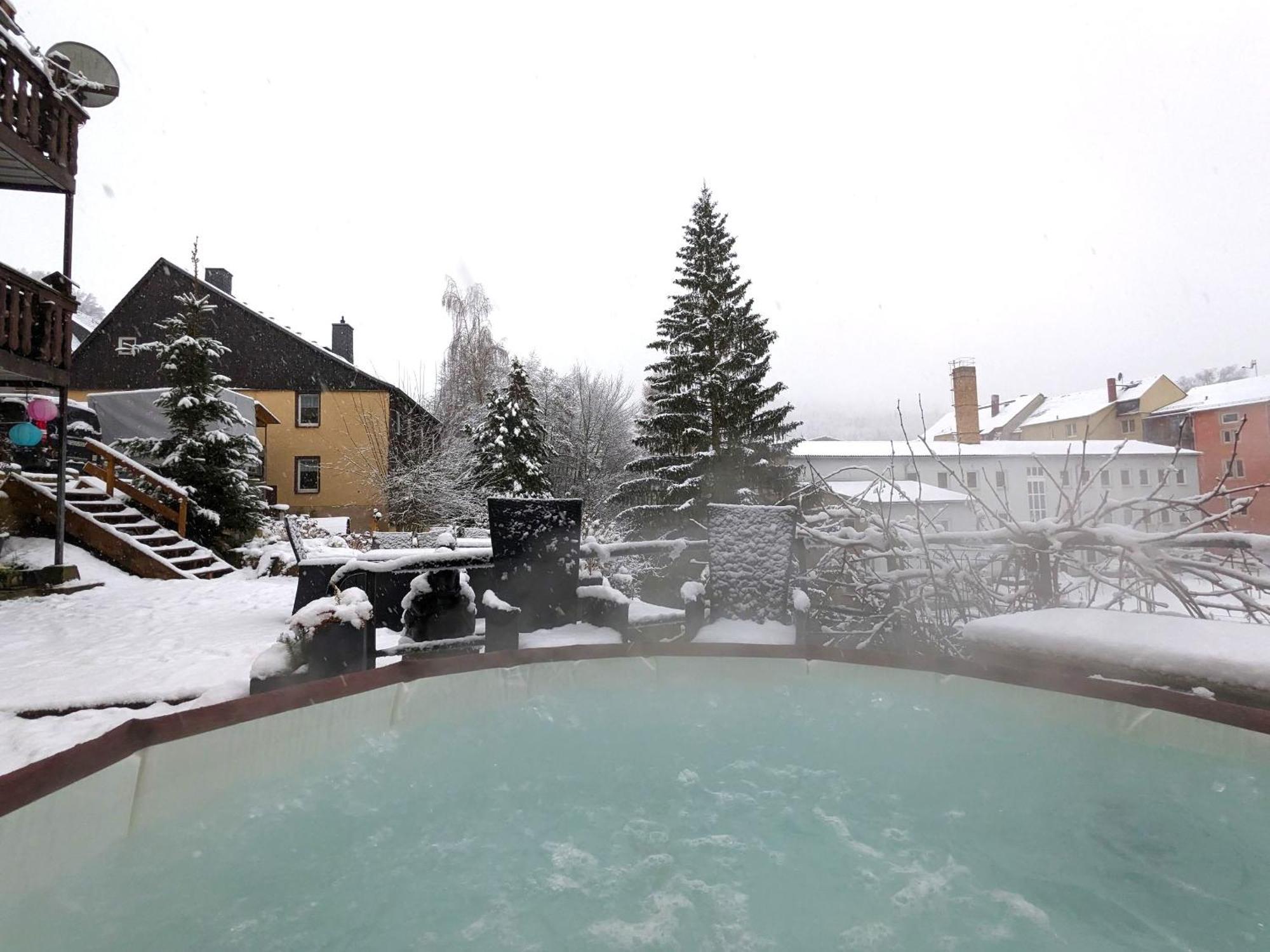 F2 - Urlaubsmagie Sauna, Whirlpool, Pool & Garten Sebnitz Bagian luar foto