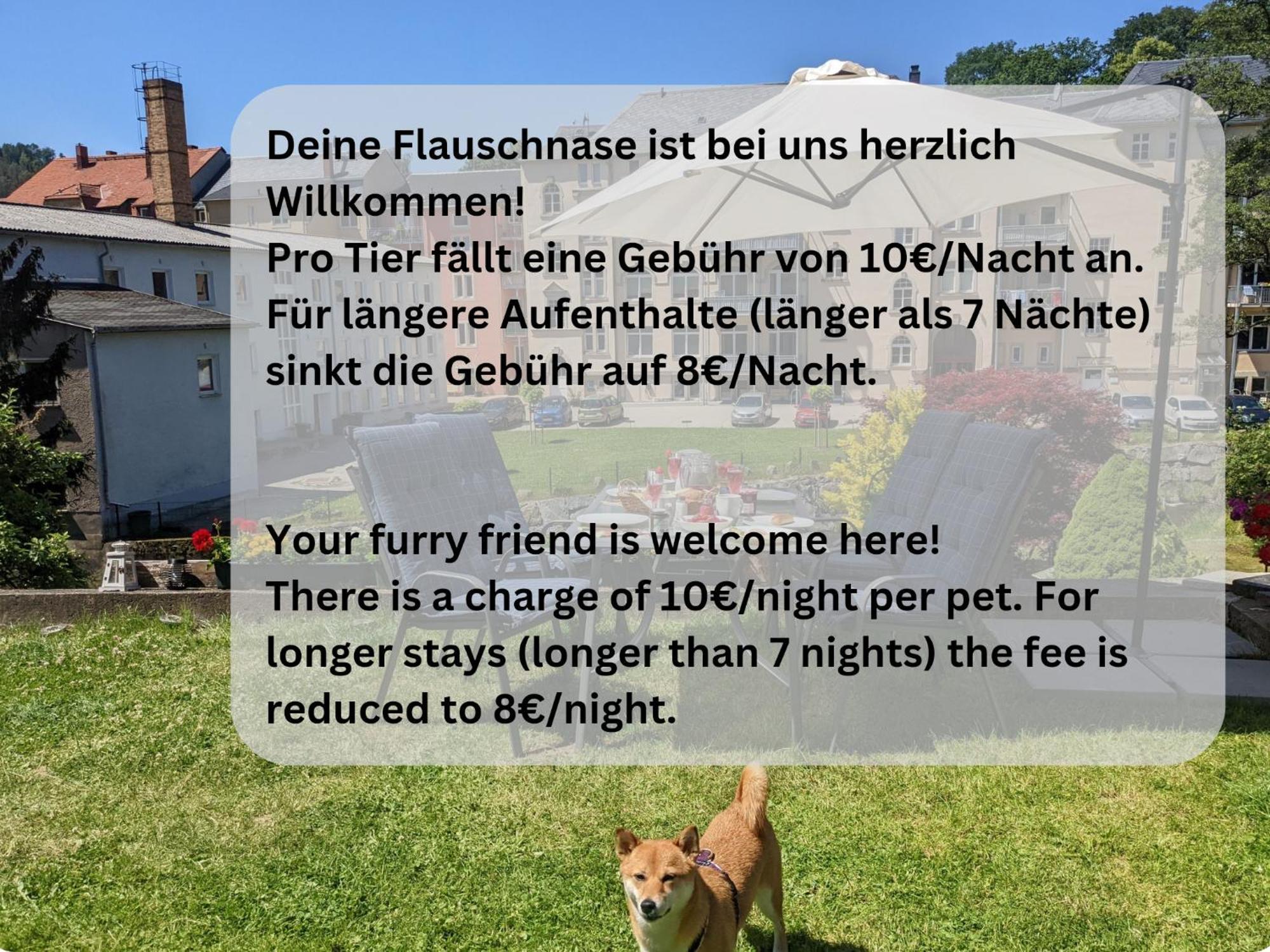 F2 - Urlaubsmagie Sauna, Whirlpool, Pool & Garten Sebnitz Bagian luar foto