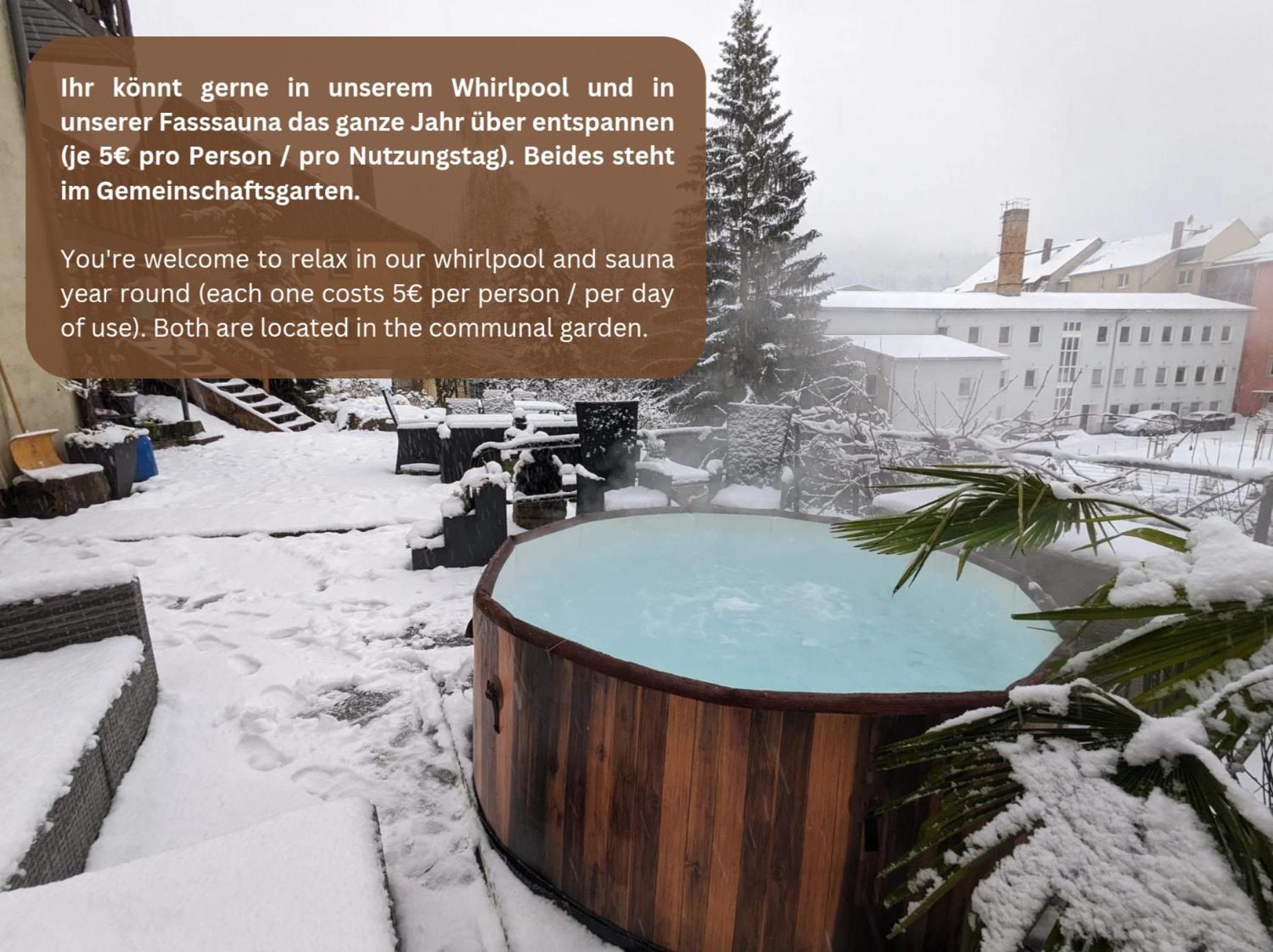 F2 - Urlaubsmagie Sauna, Whirlpool, Pool & Garten Sebnitz Bagian luar foto